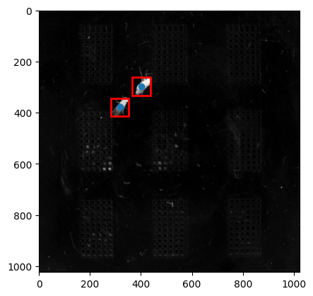 Crop size preview: frame with centroids and bounding boxes
